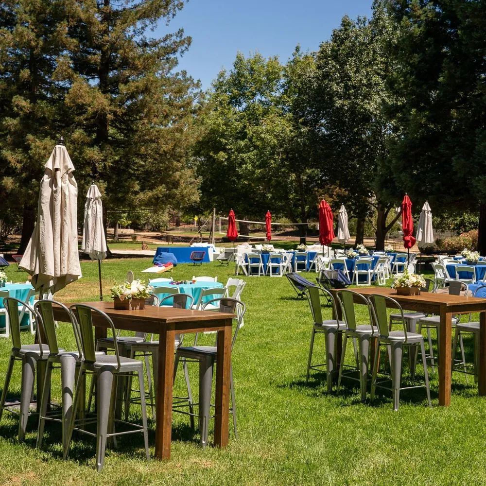 Outdoor company picnic with blue-cloth tables under closed umbrellas